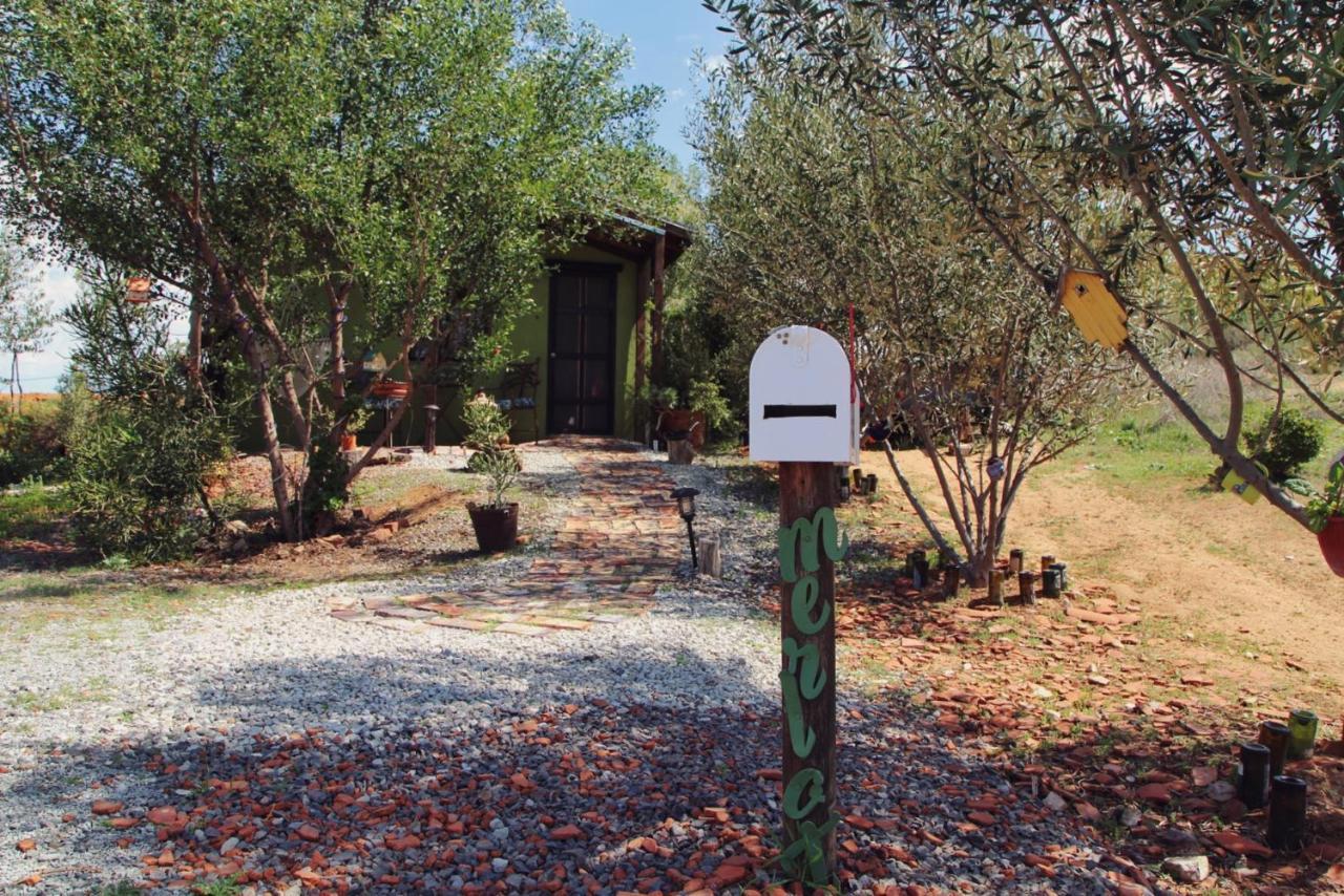 Posada San Antonio Valle de Guadalupe Dış mekan fotoğraf
