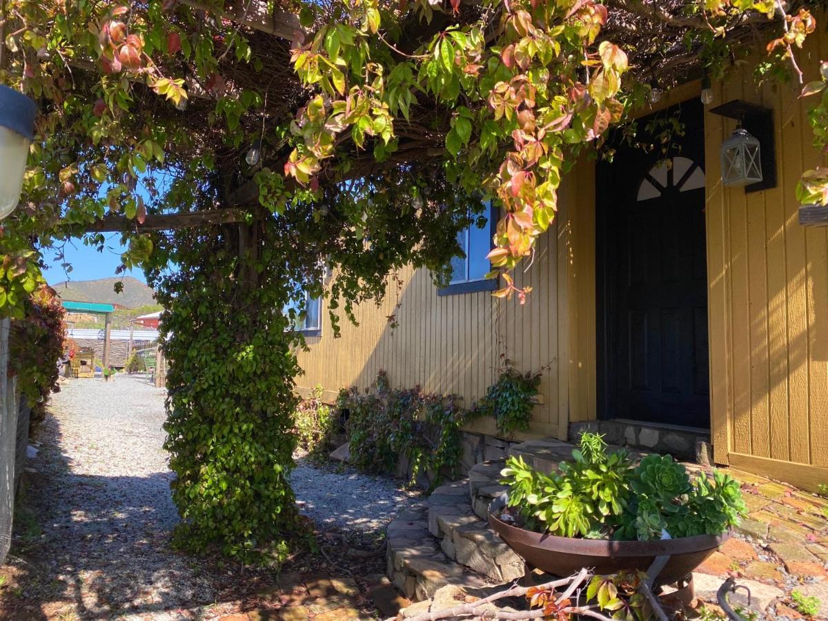 Posada San Antonio Valle de Guadalupe Dış mekan fotoğraf