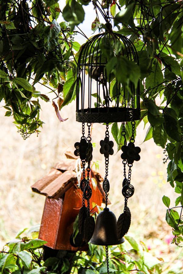Posada San Antonio Valle de Guadalupe Dış mekan fotoğraf